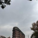 상하이 홍소육 맛집 올드 제시 레스토랑 Old Jesse Restaurant 내돈내산 후기(상하이 미슐랭 맛집)
