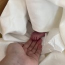 봄뜰어린이집 | 일상-조리원 라이프 최대한 즐기자꾸나