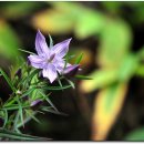 영월산방 이미지