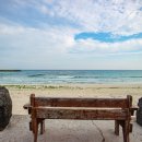 제주축산농협한우프라자아라점 이미지