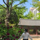보리수유치원 | 덕수궁 수문장 교대식 시간 입장료 석조전 예약까지 한 번에 정리
