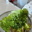 지연2농장 | 유러피안 샐러드 정기배송 1kg 신선도 미친 내돈내산 후기ෆ