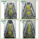 강원특별자치도영월의료원 이미지