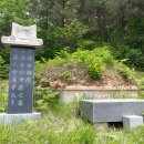 선영 이미지