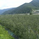 가인초등학교 이미지