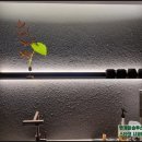 사하구 장평로 299번길 | 비오는날 내 건물의 누수는 없나요? 상가주택건물 페인트도장 방수 견적상담해드리겠습니다.