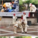 신호유희 이미지