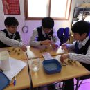 북악중학교 이미지