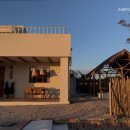 스테이 오후열시 이미지