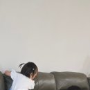 스케마