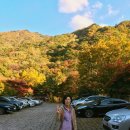 달궁자동차야영장 이미지