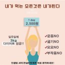 진해인셀덤벚꽃대리점 | 빛나는 광채 에너지 인셀덤 #래디언솜™100
