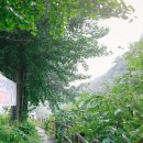 송탄해장국 이미지