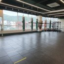 복싱대장 이미지