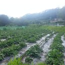 행복빌리지캠핑장 이미지