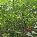 청운제2농장 이미지