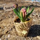 달달공작소 이미지