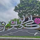 꽃을 30첩 반상 받듯 - 함안 칠서강나루생태공원, 악양생태공원,악양둑방길, 합천 핫들생태공원, 거창 창포원, 그리고 넓은등(234) 이미지