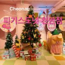 피기스도넛(PIGGY&#39;S DONUT) 천안점 성성호수공원 근처 도넛이 맛있는 천안신상카페