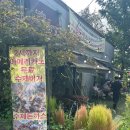 고매로43번길 | 스토리카페 ::: 기흥 롯데프리미엄 아울렛, 이케아 근처 맛집 솔직후기 (수제돈까스, 수제버거, 파스타 등)