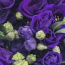 사)경기도 시각장애인연합회 군포시지회 이미지