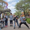 양신초등학교 이미지