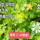 019-2 이미지