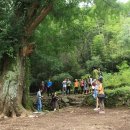 내서읍705 이미지