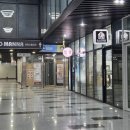 리스펙트유안경 이미지