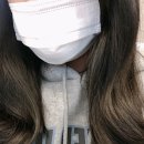 올리브헤어필 | 헤어전문브랜드 닥터탑헤어필 헤어에센스오일