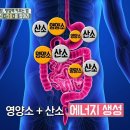 연 항암 백신 ‘산소’를 잡아라 [내 몸 사용설명서] 171회 20170922 이미지