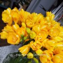 청안원예협동조합 이미지