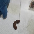 서한KD 네이버블로그