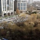 금싸라기부동산중개 네이버블로그