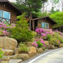 소선암자연휴양림 이미지