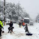 파묻히고 뒤엉키고…강원 ‘눈폭탄’ 엉망된 도로 [포착] 이미지