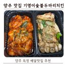 빨간치킨 | 양주 옥정 기영이숯불두마리치킨 순살 반반 후기 (빨간양념 소금통마늘 추천)