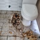 심곡주유소 이미지