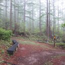 태백고원 700 산소길 이미지