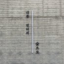 내를 건너서 숲으로 캠핑장 이미지