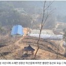 성왕산등산로 이미지