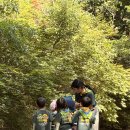 2026 숲나들이_숲속에서 함께 키운 작은 생명 이야기🪺💚 이미지