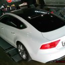 아이언게러지 이미지