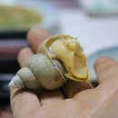 더좋은유통 이미지