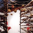 대구대학교 디자인대학원 이미지