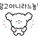 알콩달콩 애견미용실 이미지