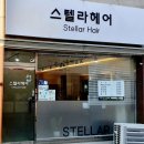 스텔라헤어 티스토리