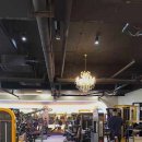 바이브 피트니스 이미지