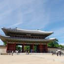 뮤직프라자 네이버블로그
