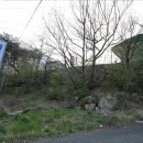 천리안캠프힐 이미지